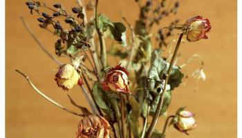 Nova portada del treball del grup barceloní que es publicarà el 25 de març. 