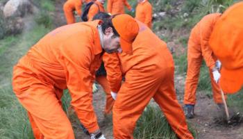 Bauzá es posa l'uniforme taronja per netejar el camí d'Andratx a Estellencs afectat pel foc de l'estiu passat.