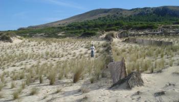 Els ecologistes encenen les alarmes perquè la nova norma permet fer canvis «en les dunes, salines, i gairebé per tot en general».