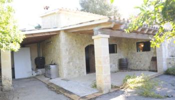 Els exteriors de casa també estaven ben cuidats i treballats, fins que l'esbucament els ha esborrat de l'indret.