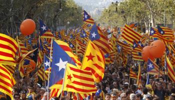 Somescola vol dur una 'marea verda' a Barcelona contra la imposició del castellà