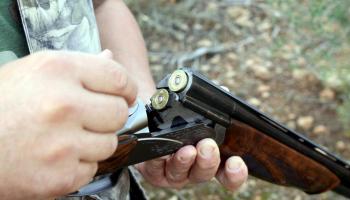 El grup ecologista considera que cal incrementar el nombre d'Agents de Medi ambient destinats al control de la pràctica cinegètica.