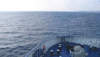 El text tècnic de la conselleria mostra preocupació pel fet que els sondejos coincidissin amb l'època de migració dels cetacis.