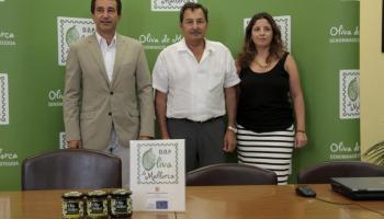 palma local presentacio imatge oliva de mallorca foto joan torres