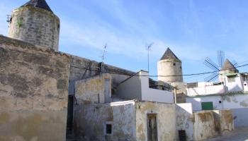 El PSIB ha assegurat que, amb el projecte que plantejà el PP, l'actual fisonomia del Jonquet es troba en "perill de desaparició". 