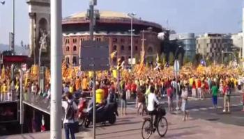 Vídeo de l'escriptor i col·laborador de dBalears.cat, Balutxo. 