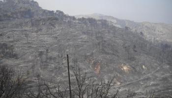 El paisatge que deixa el foc al seu pas és desolador. 