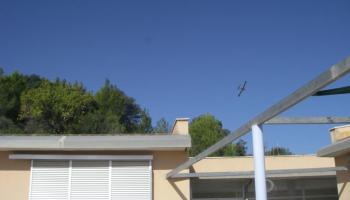 Imatge feta des del centre bunyolí. 