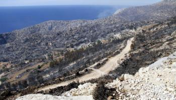 Bona part dels boscos entre Calvià, Andratx i Estellencs quedaren devastats.