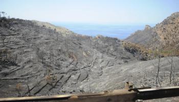 Les productores reclamen que el pla inclogui “mesures preventives efectives” en la lluita antiincendis.