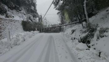 Imatge de la nevada d'aquest dijous. 