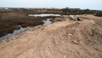 Palma Springs: «El centre comercial respectuós amb el medi ambient»