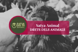 No &eacute;s nom&eacute;s una pastilla: la salut de la teva 'mascota' dep&egrave;n de la teva signatura