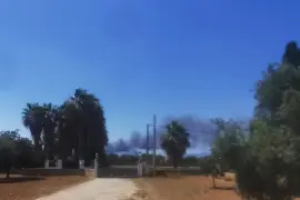 Un incendi iniciat a Mercapalma avan&ccedil;a cap a Son Banya i l'Aeroport