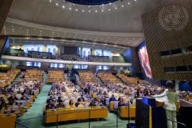 L'ONU i les nous mapes
