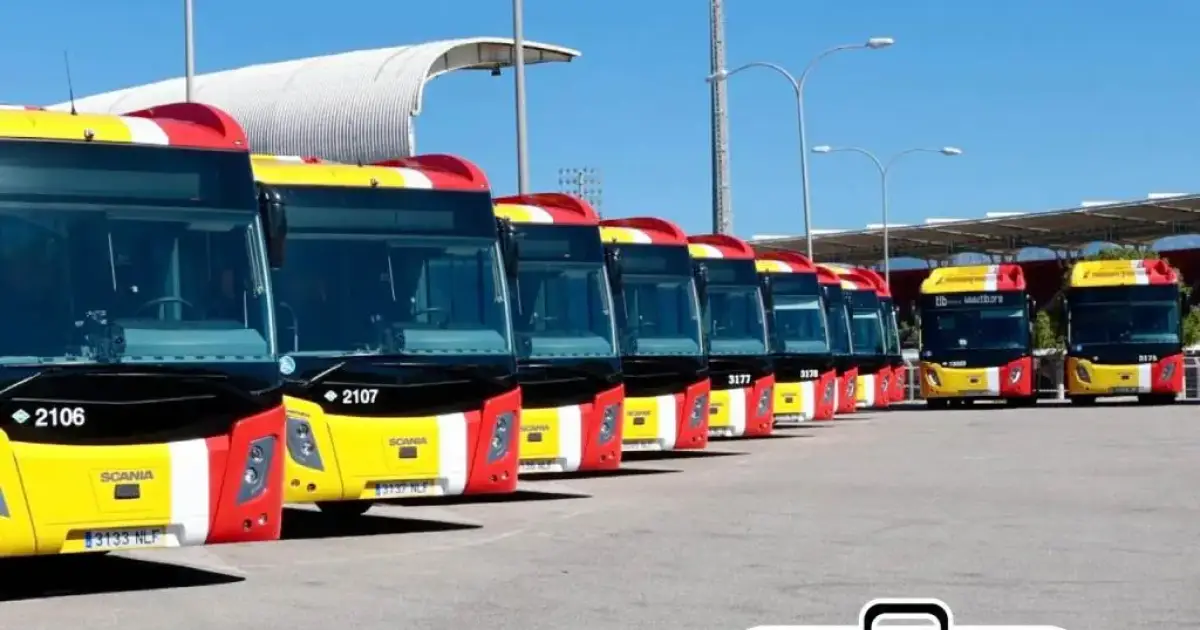 Els animals de companyia podran viatjar als autobusos del TIB de Mallorca
