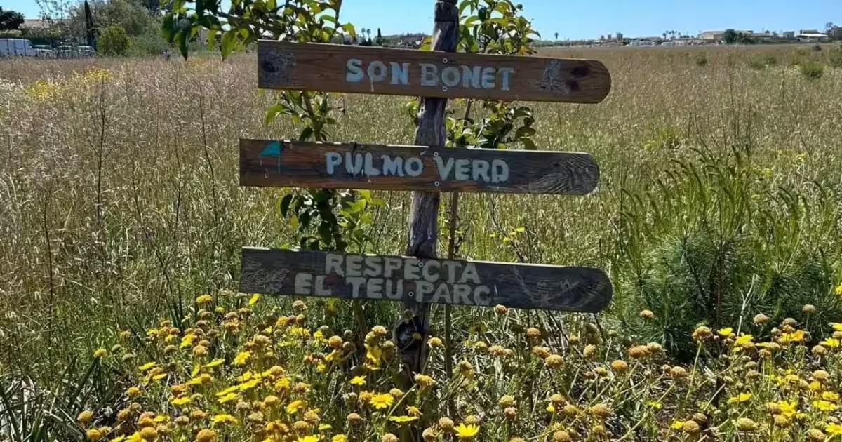 Reclamen que Prohens «doni la cara» i expliqui les seves accions per a aturar el megaparc fotovoltaic a Son Bonet