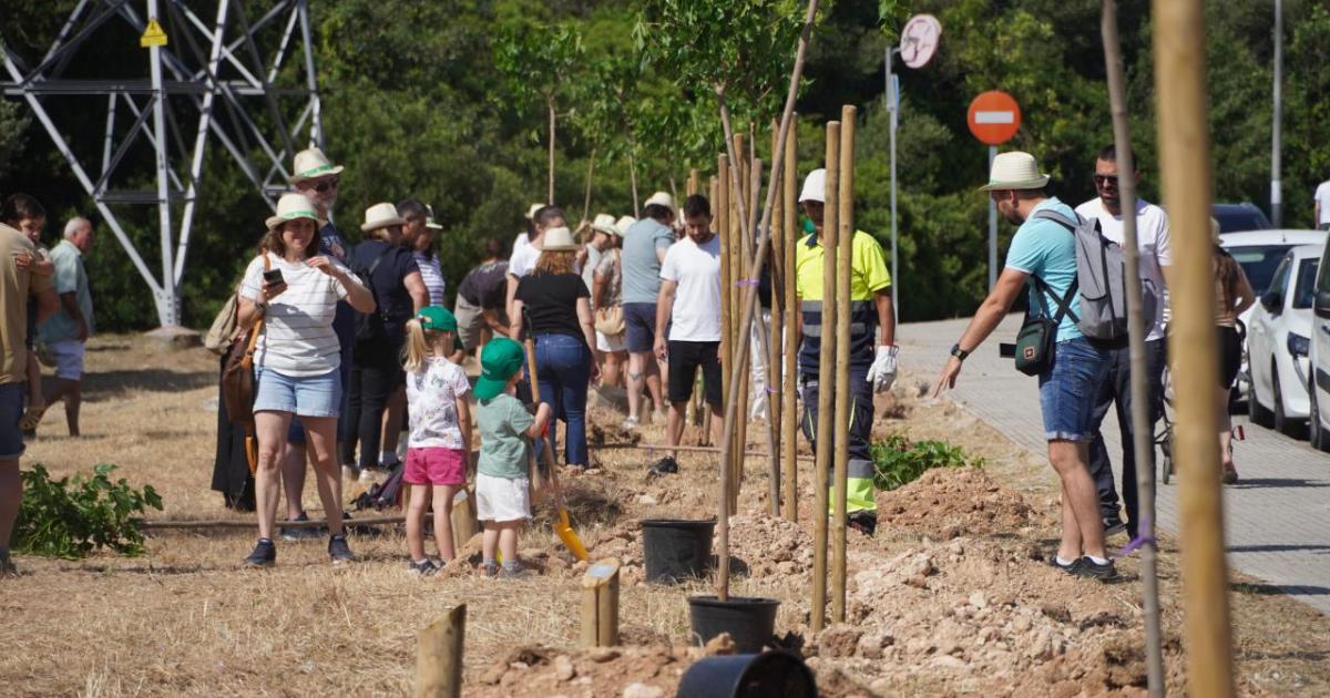 Els arbres envaeixen Marratxí per a celebrar el Dia Mundial del Medi Ambient